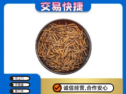 铜仁回收散虫草